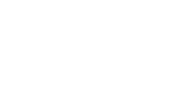 Blue Cross Blue Shield